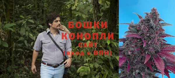 ГАЛЛЮЦИНОГЕННЫЕ ГРИБЫ Краснослободск