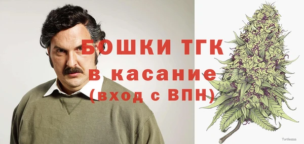 ГАЛЛЮЦИНОГЕННЫЕ ГРИБЫ Краснослободск