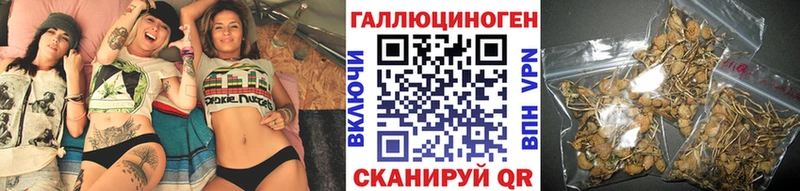 Галлюциногенные грибы GOLDEN TEACHER  цена   Мелеуз 